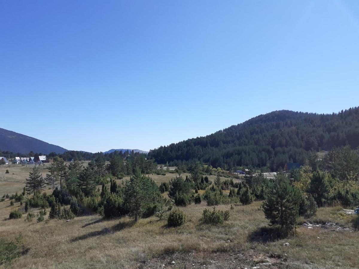 Apartments Darija Zabljak  Bagian luar foto